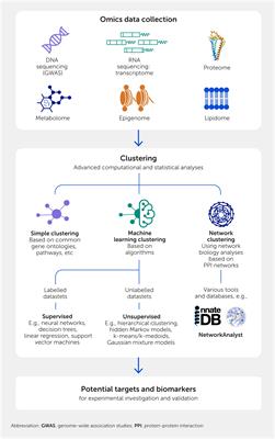 Deciphering sepsis: transforming diagnosis and treatment through systems immunology